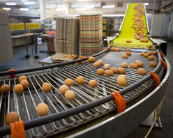 KERNTECH-研華產品應用以完整的軟硬件解決方案為食品加工安全把關