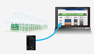 塑料大棚/食品工廠情況確認